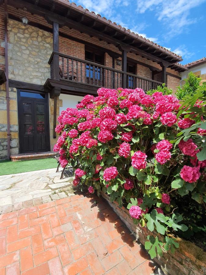 Apartamentos Camino Del Norte Cóbreces Εξωτερικό φωτογραφία